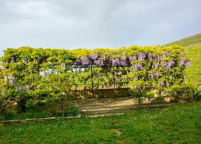 Borgo Solamore * Кортона