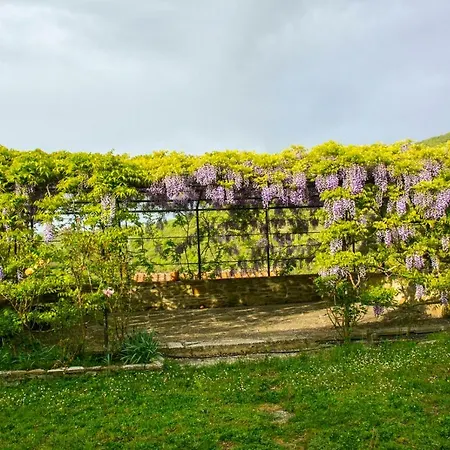 Borgo Solamore * Кортона