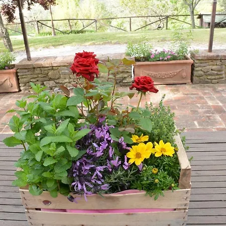 Borgo Solamore Кортона