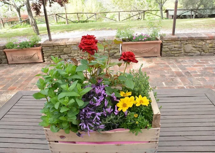 Borgo Solamore Кортона